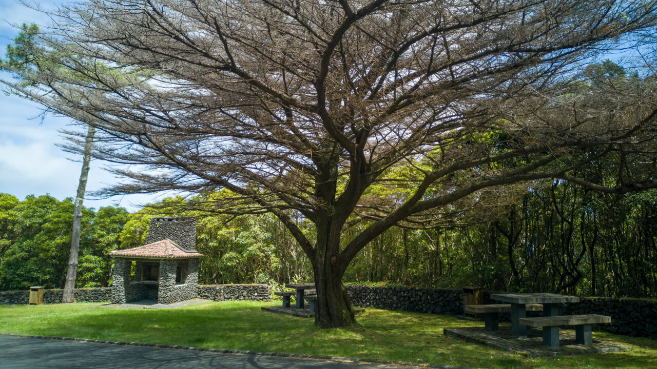 Cedro Picnic Park